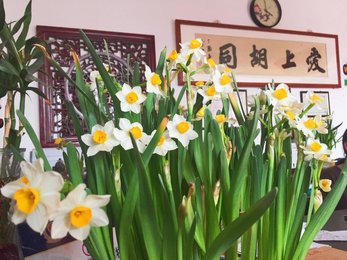 Hutong Impressions Beijing Guesthouse Экстерьер фото